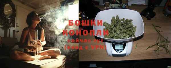 ПСИЛОЦИБИНОВЫЕ ГРИБЫ Михайлов