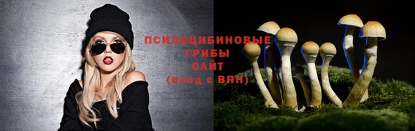 ПСИЛОЦИБИНОВЫЕ ГРИБЫ Михайлов