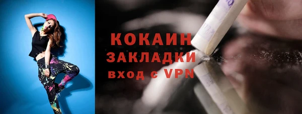 ПСИЛОЦИБИНОВЫЕ ГРИБЫ Михайлов