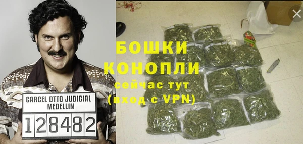 ГАЛЛЮЦИНОГЕННЫЕ ГРИБЫ Наволоки